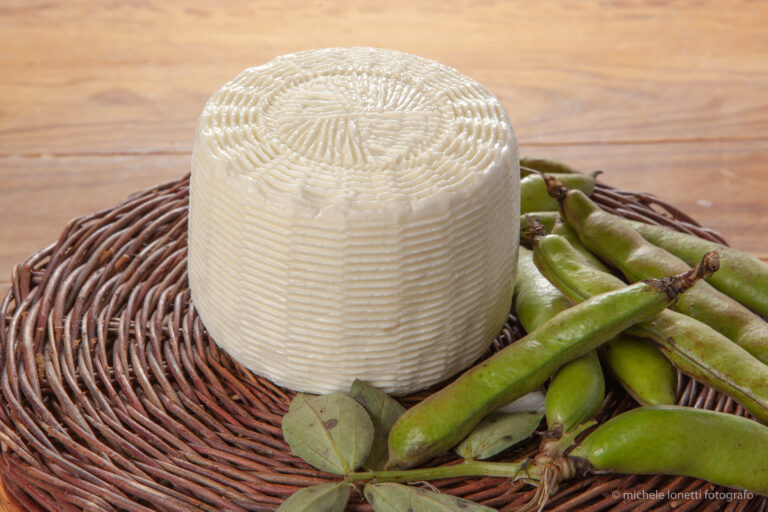 Pecorino fresco