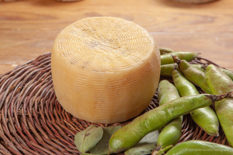 Pecorino semi stagionato